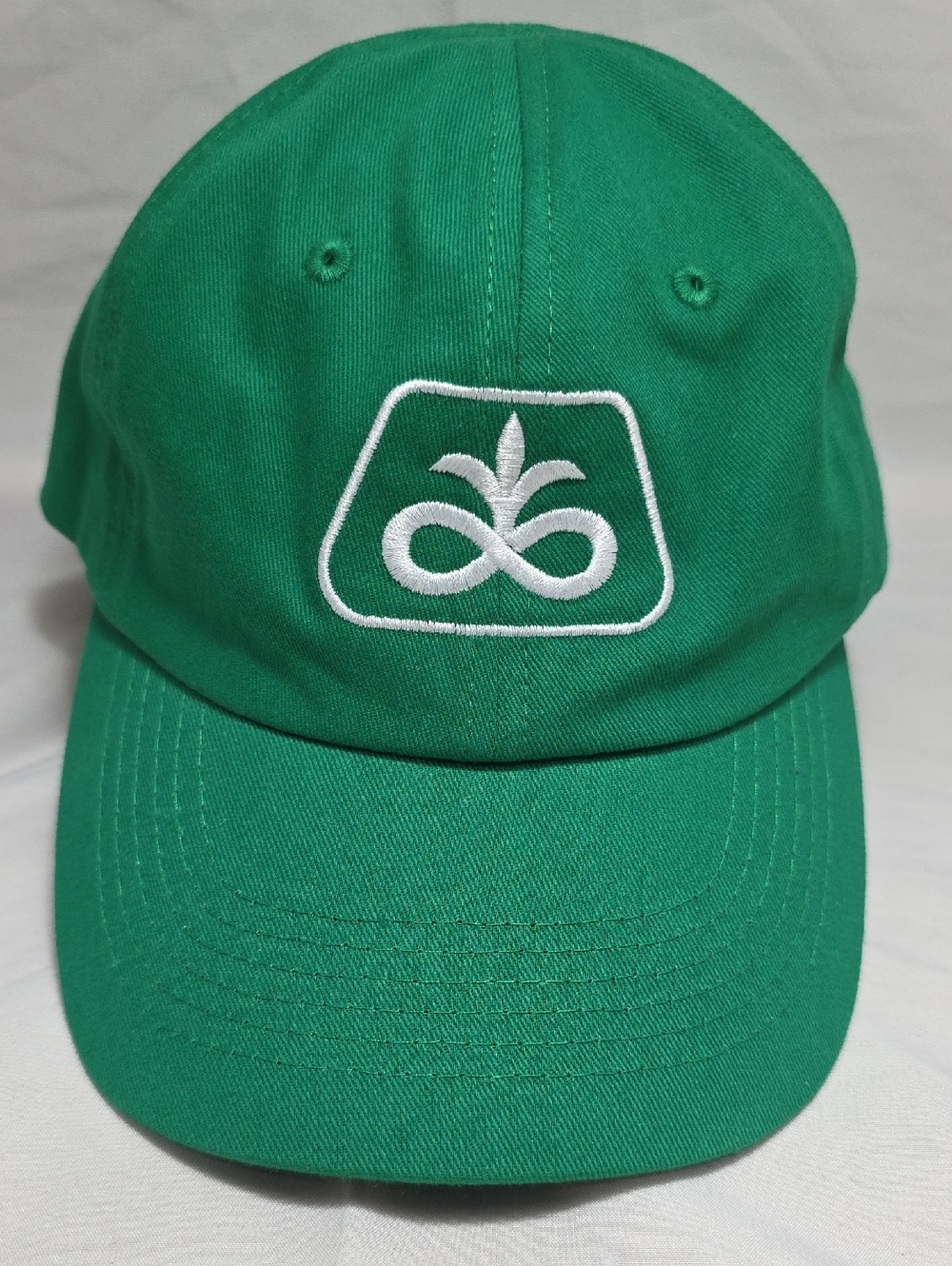 Pioneer Seeds Corteva Youth Snapback Hat